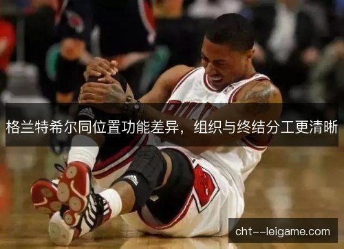 格兰特希尔同位置功能差异,组织与终结分工更清晰 格兰特希尔同位置功能差异,组织与终结分工更清晰